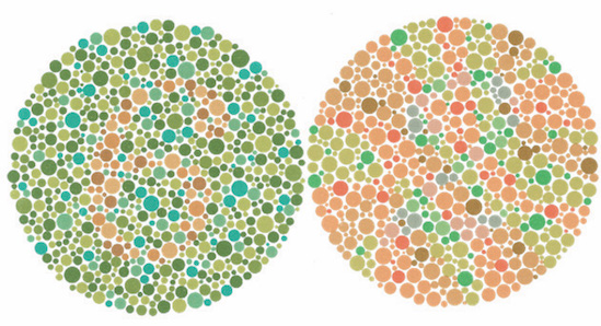 Color Perception: Experiments In the Sciences and The Arts