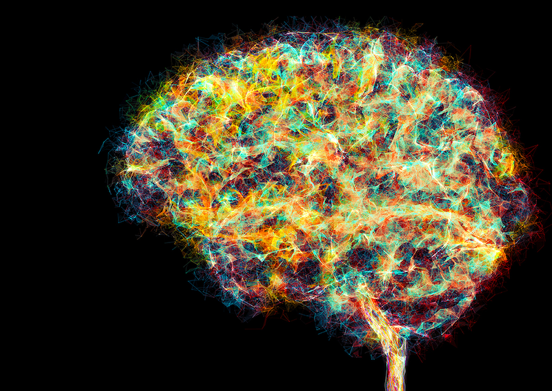 The Circuitry of Creativity: How Our Brains Innovate Thinking